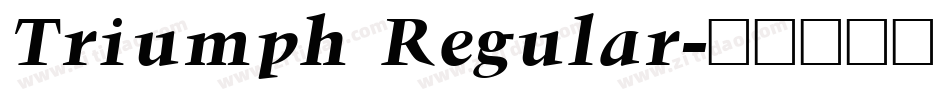 Triumph Regular字体转换